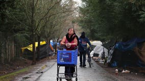 Caltrans removes encampment, unhoused folks say nowhere to go
