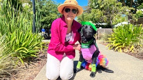 Guide Dogs for the Blind celebrates dogs and volunteers at annual California Fun Day