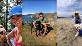 Which KTVU reporter has the 'best in the show pup'?