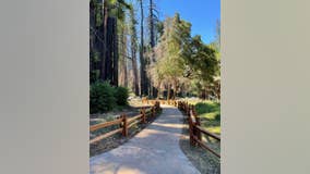 Big Basin Redwoods State Park partially reopens July 22