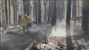 Crews gain on Yosemite National Park, California wildfires