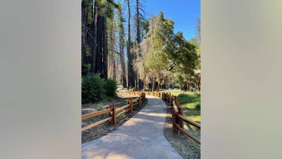 Big Basin Redwoods State Park partially reopens July 22