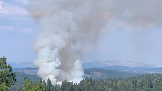 Cal Fire responds to vegetation fire in El Dorado County