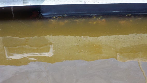 Murky, muddy mystery in Oakland Estuary water