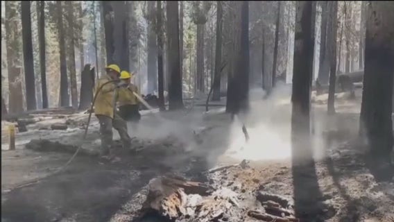 Crews gain on Yosemite National Park, California wildfires