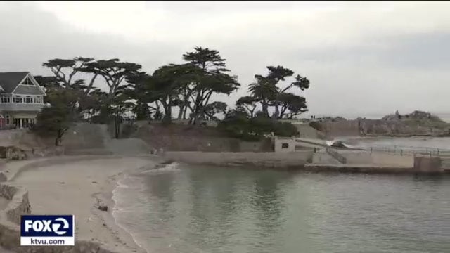 Shark attack survivor released from hospital