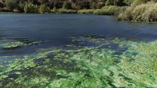 Signs posted warning of harmful algae blooms at San Gregorio State Beach