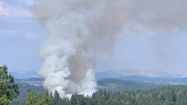 Cal Fire responds to vegetation fire in El Dorado County