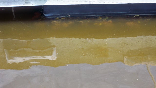 Murky, muddy mystery in Oakland Estuary water
