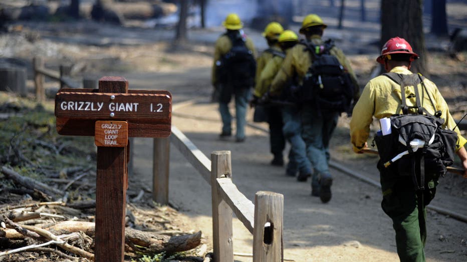 490979a3-Wildfire in Yosemite National Park