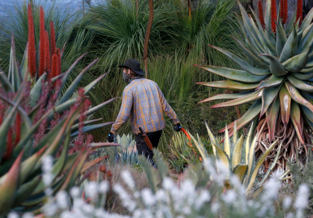 The 'I Heart My Garden Photo Challenge' is back