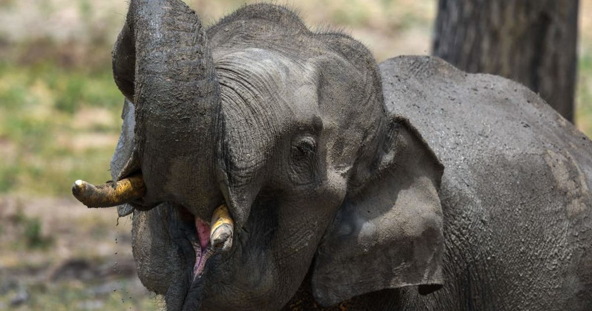 GettyImages-1242637098.jpg?ve=