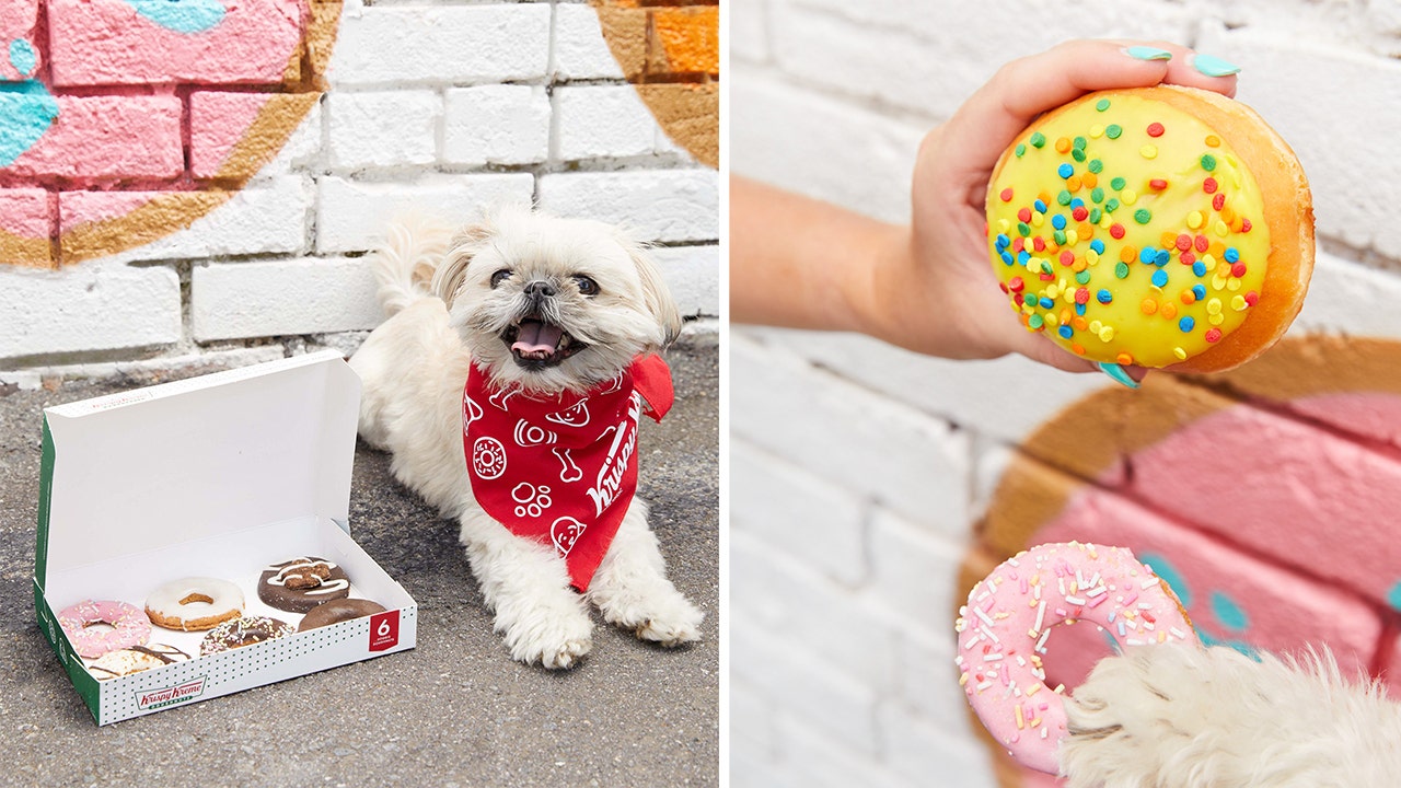 pawsome donuts