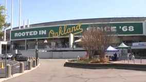 Police investigating couple who allegedly engaged in sex act in stands during Oakland A's game
