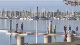 East Bay rowers race to boycott Florida's 'Don't Say Gay' law