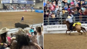 Watch: Bull runs into rodeo crowd after escaping from pen at Florida State Fairgrounds