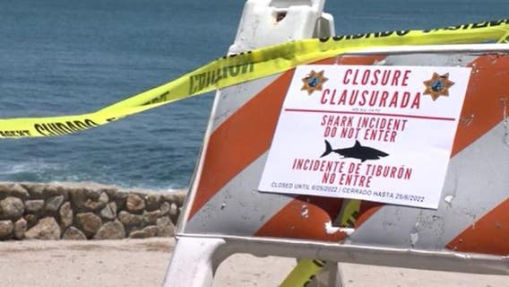 Lovers Point, several beaches closed after unconfirmed shark spotting