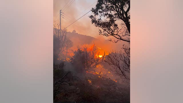 Firefighters respond to brush fire in Brisbane