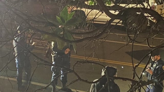 Caught in act, suspect in catalytic theft freed by San Francisco cops