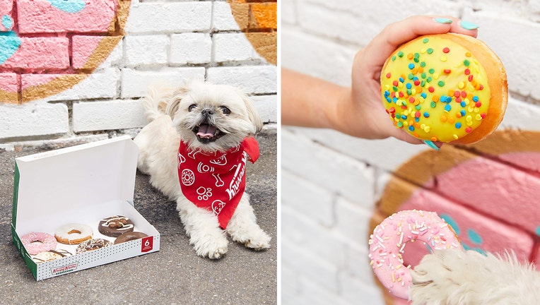 dog doughnuts krispy kreme