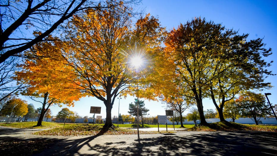 Fall Autumn Colors On Trees In Reading Pennsylvania