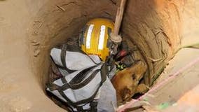 California firefighters rescue blind dog that fell down 15-foot hole at construction site