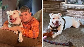 Deaf dog is adopted by Michigan teen with hearing loss — now they're 'inseparable'