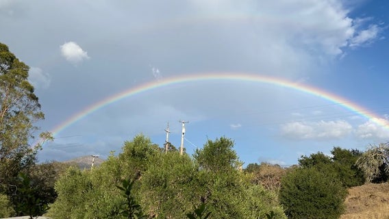 Bay Area weather: A day-by-day breakdown of when to expect more rain