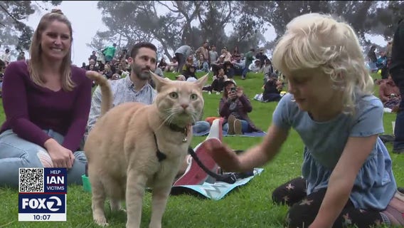 Hardly Strictly Bluegrass makes big comeback in Golden Gate Park