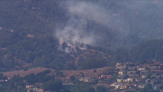 Vegetation fire sparks in Mill Valley