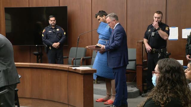 Doctors chosen to mentally evaluate man accused of slaying San Carlos mother with sword