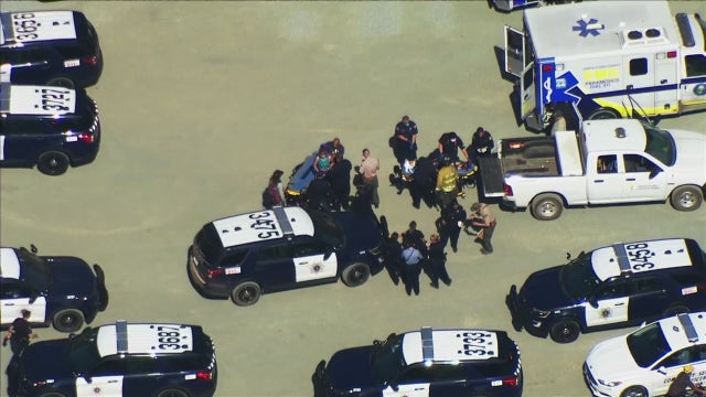 Three hikers hit and trapped by falling tree in Santa Clara County