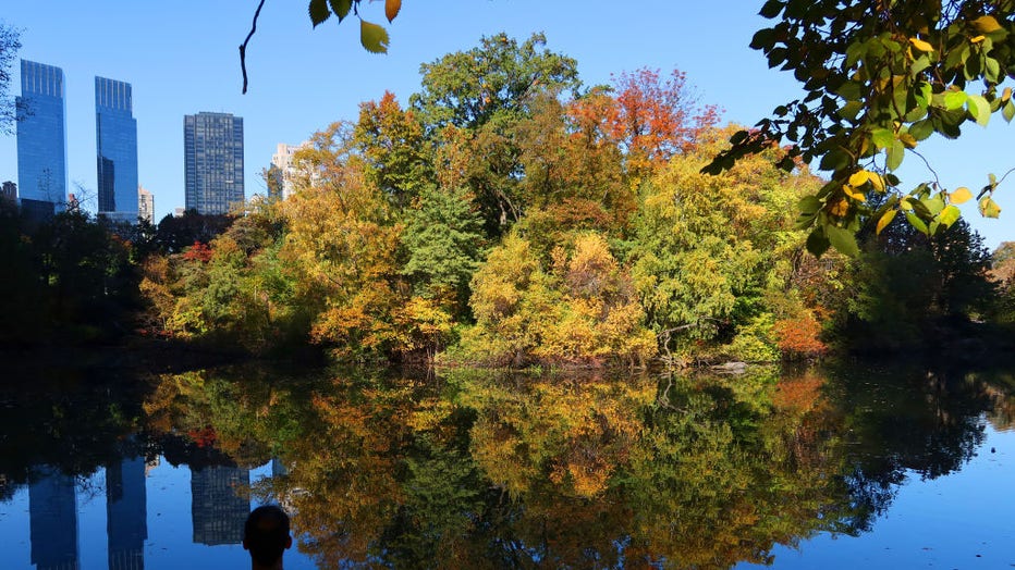 Fall Foliage in Central Park in New York City