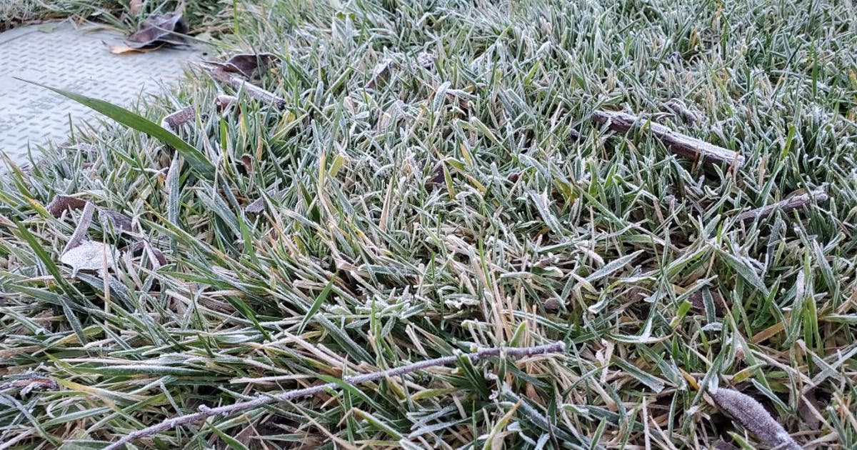 Frost advisory goes into effect for Bay Area | KTVU FOX 2