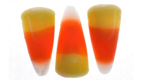 Candy corn: The Halloween treat you either love or really hate