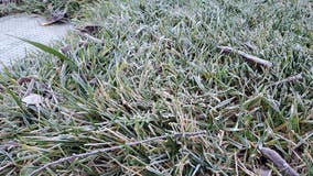 Frost advisory goes into effect for Bay Area