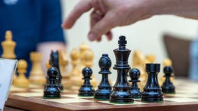 Global chess league imposes 'transphobic' rules