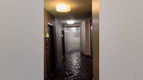 Tenant busted after allegedly unscrewing fire hose valve, flooding SF high rise