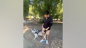 South San Jose man's dog suffers meth poisoning