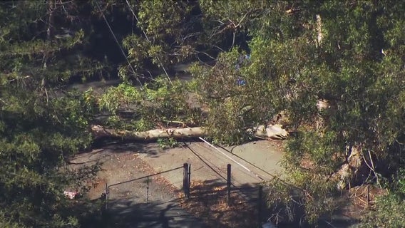 Shelter-in-place in effect in Novato due to downed power lines