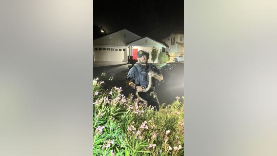 Large boa constrictor found in Livermore neighborhood