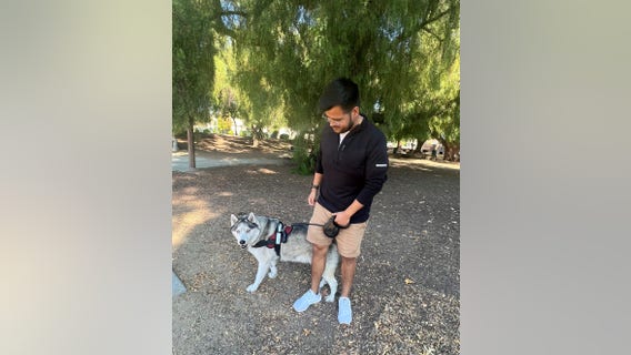 South San Jose man's dog suffers meth poisoning