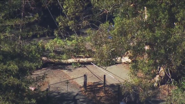 Shelter-in-place in effect in Novato due to downed power lines