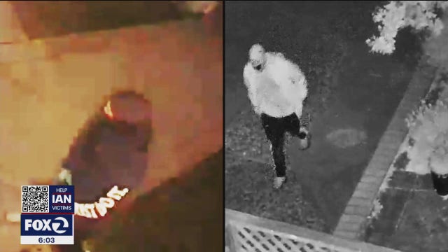 Woman scares off invaders as Pleasanton police investigate series of home break-ins
