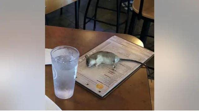 'Top 50 rattiest cities': 2 California cities make the top 5 again