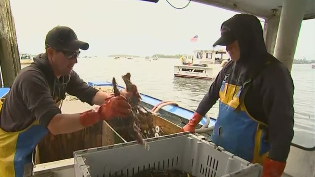 Proposal to withhold funding from Monterey Bay Aquarium over lobsters