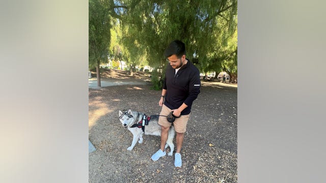 South San Jose man's dog suffers meth poisoning