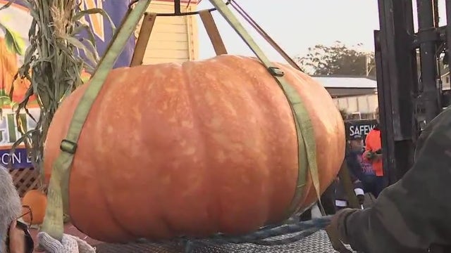 Half Moon Bay pumpkin breaks festival record