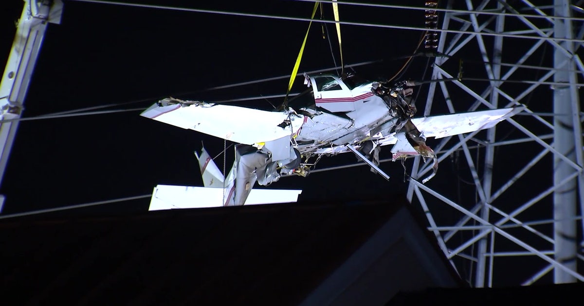 Pilot, passenger rescued after small plane crashes into power lines in ...