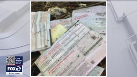 Voting ballots found tossed in ravine miles from where they were mailed; authorities investigating